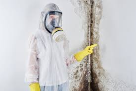 Best Water Damage & Mold Remediation  in Yankton, SD